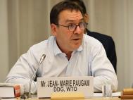 DDG Paugam calls on WTO Chairs Programme to contribute fresh ideas to food security debate