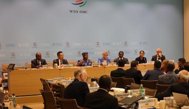 WTO Chairs Programme holds Annual Conference